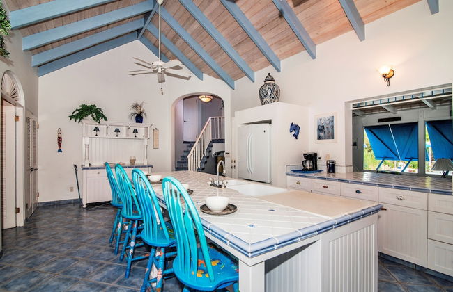 Grace Bay Beach Ocean Villas - Photo 48