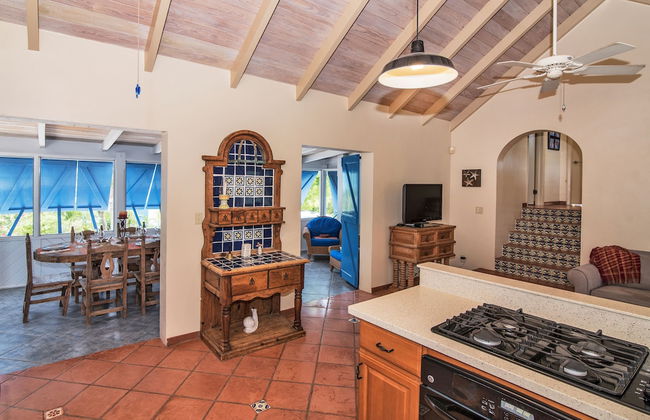 Grace Bay Beach Ocean Villas - Photo 49