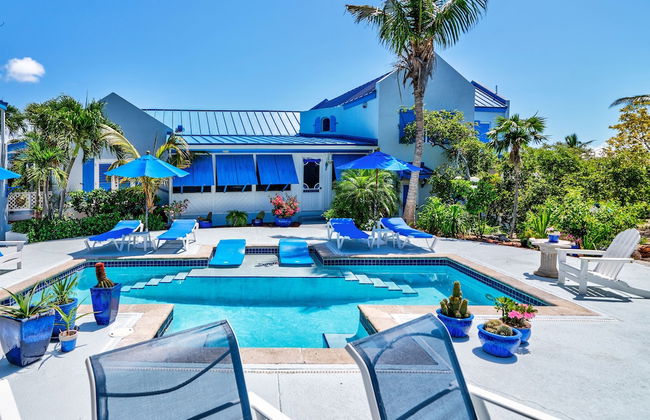 Grace Bay Beach Ocean Villas - Photo 79