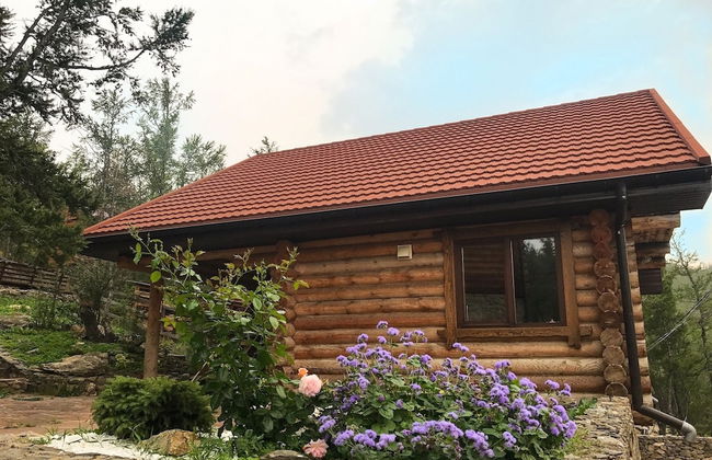 Villa Baikal Prestige - Foto 12