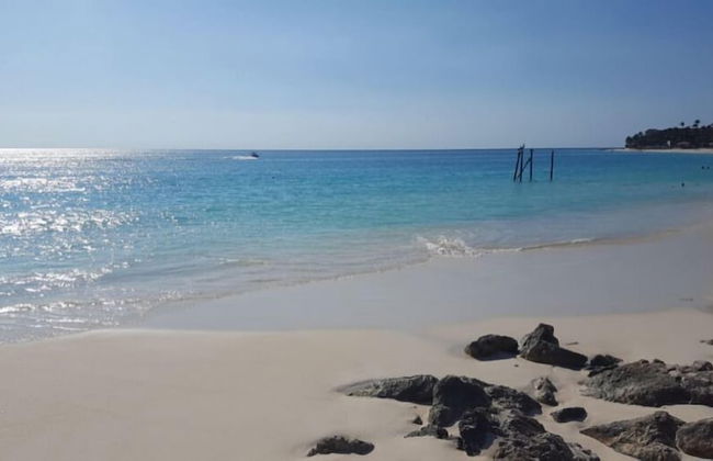 Spectacular Beach Front View - Foto 19