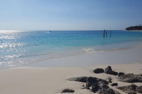 Photo 19 - Spectacular Beach Front View