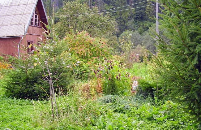 Green tourism - Photo 4