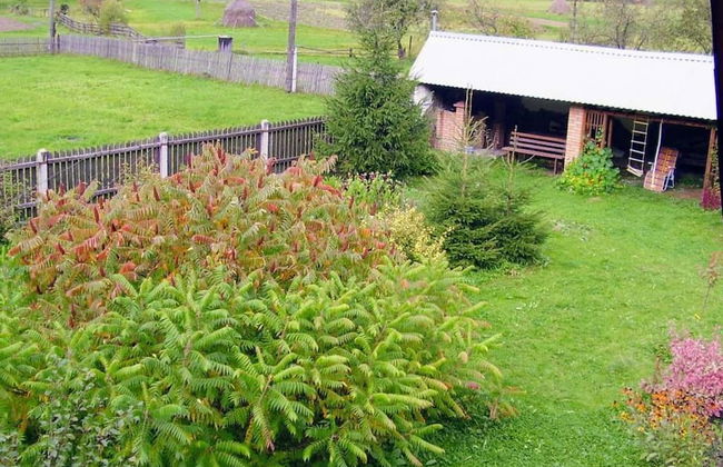 Green tourism - Photo 6