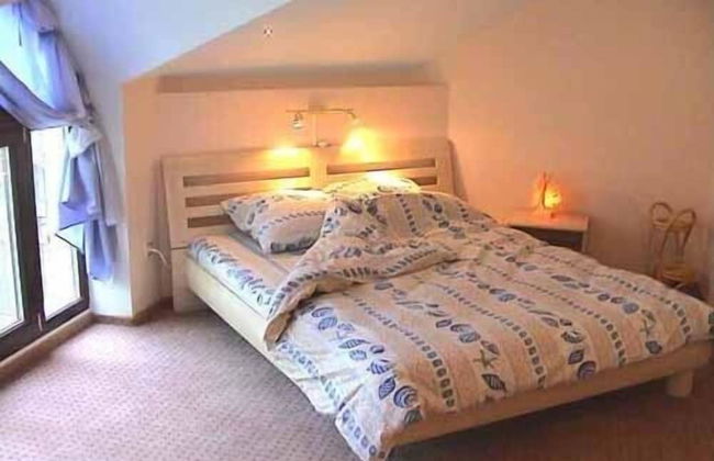 Odelana Apartments - Photo 7