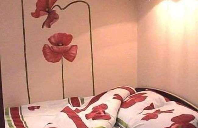 Odelana Apartments - Photo 4