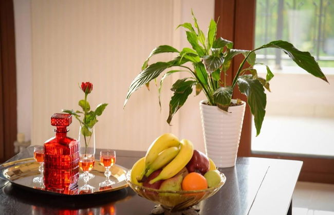 Spotless Apt in the Heart of Sisi - Foto 26