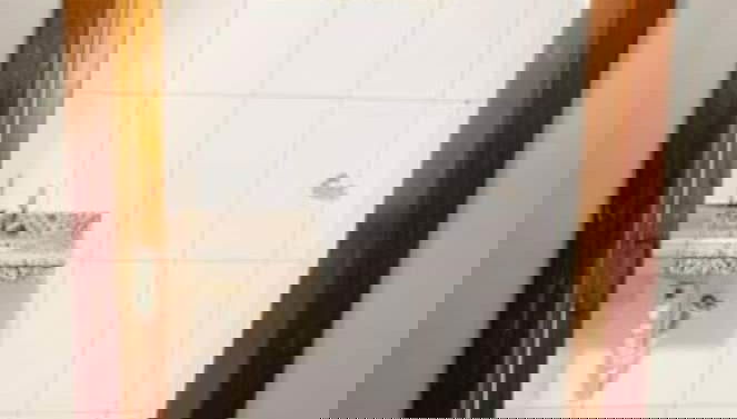 Imagem principal