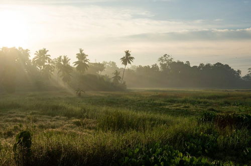 Photo 29 - Romantic Honeymoon Villa Overlooking Rice Fields