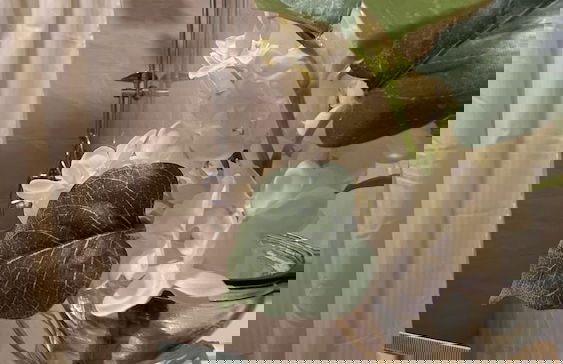 Daar AL maqam Suites - Foto 17