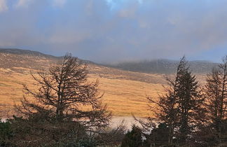 Photo 3 - Snowdonia National Park Log Cabin With Garden