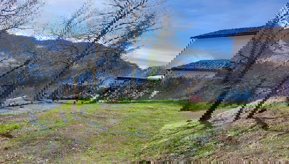 Imagem principal
