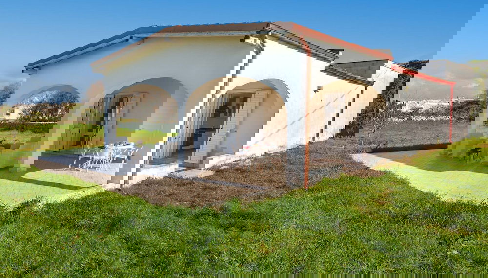 Imagem principal