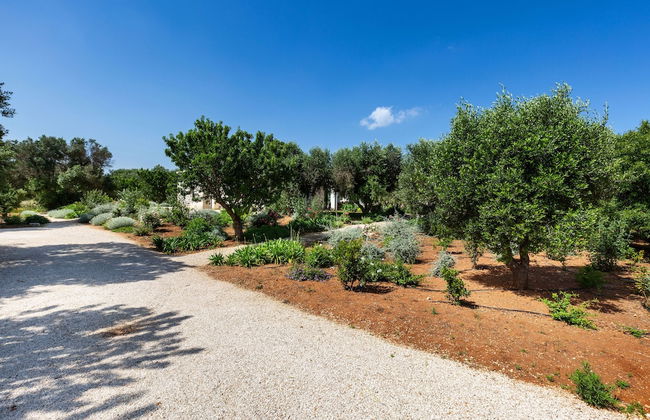 3153 Casa Diora by Perle di Puglia - Foto 72