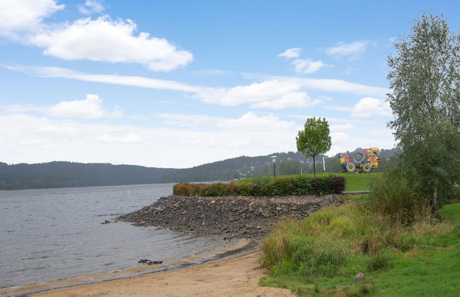 Lakeside Lipno Holiday Stay - Foto 26