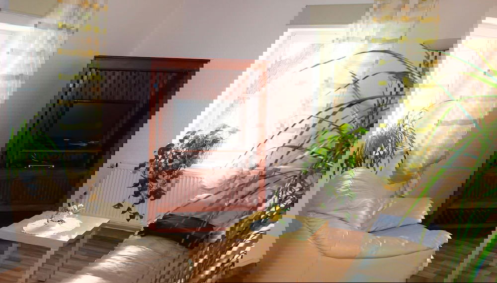 Imagem principal