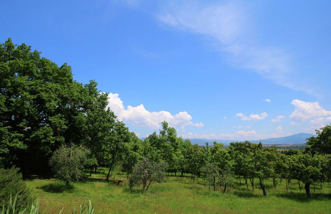 Villa With Swimming Pool in Marciano - Photo 29