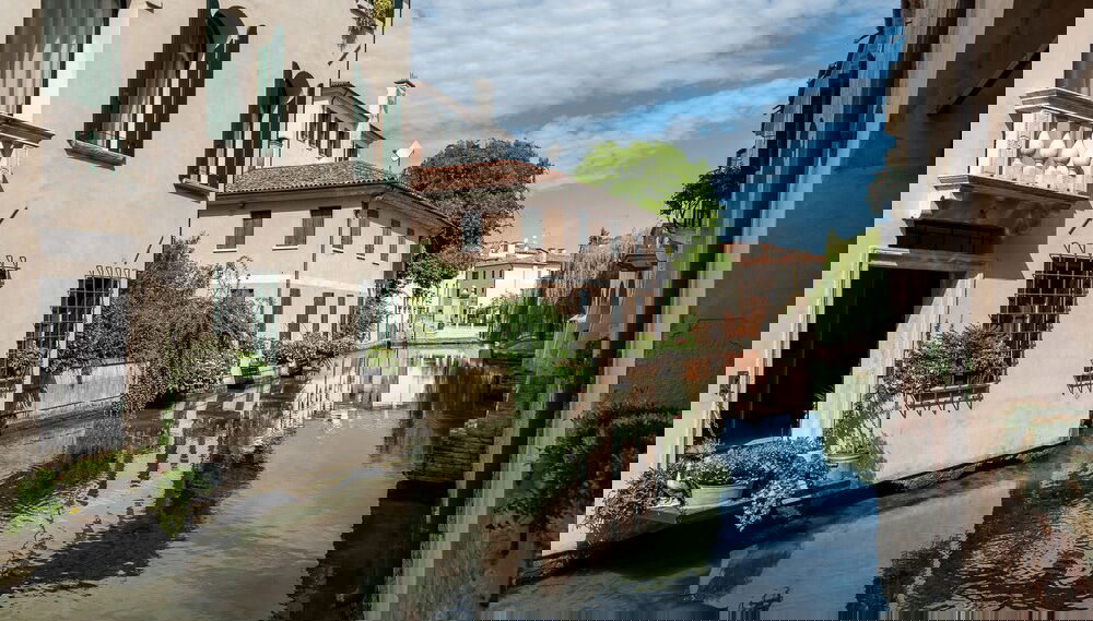 Image principale