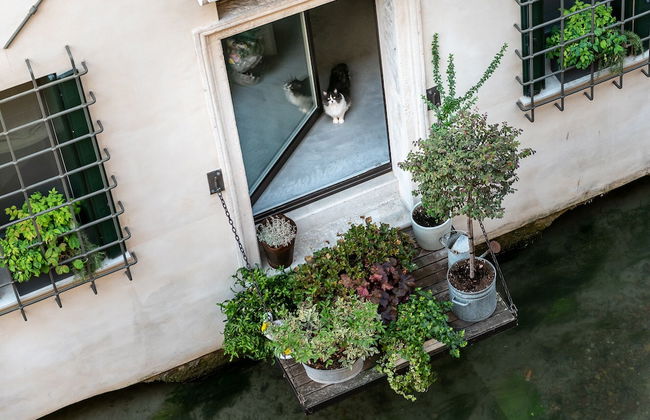 BURANELLI CHARME ROOMS - Foto 42