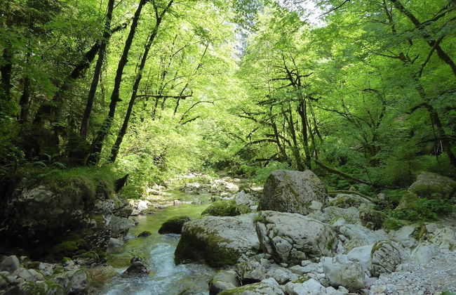 Alpine Getaway for Families - Foto 38