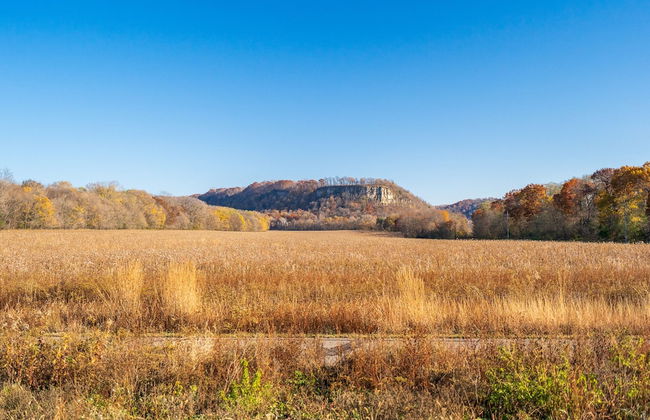 The Lakeview - Photo 21