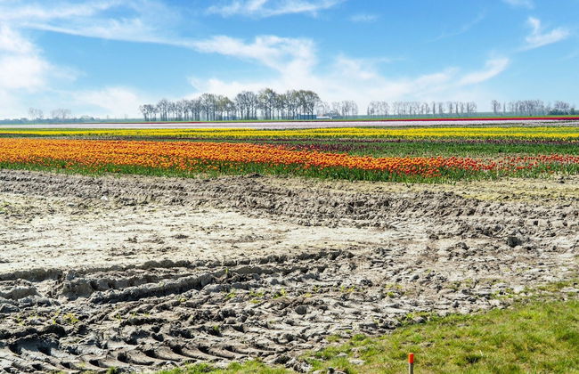 Holiday Home in Scherpenisse Near the Sea - Foto 28