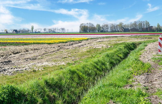Holiday Home in Scherpenisse Near the Sea - Foto 29