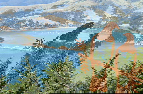 Foto 1 - Kūkupa Matairangi at Akaroa Lavender
