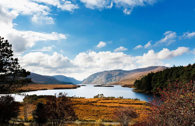 Mary Naoise Holiday Home - Photo 21
