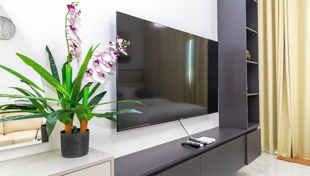 Fernseher