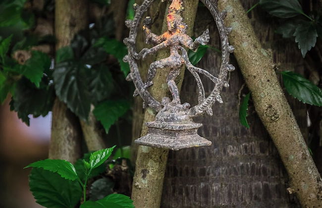 Mingtang Boutique Cottage - Foto 67