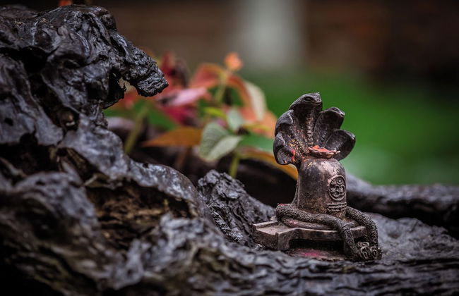 Mingtang Boutique Cottage - Foto 64