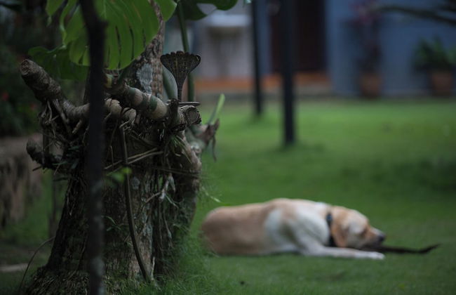 Mingtang Boutique Cottage - Foto 68