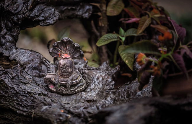 Mingtang Boutique Cottage - Foto 66