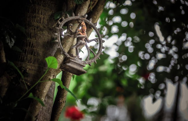 Mingtang Boutique Cottage - Foto 69