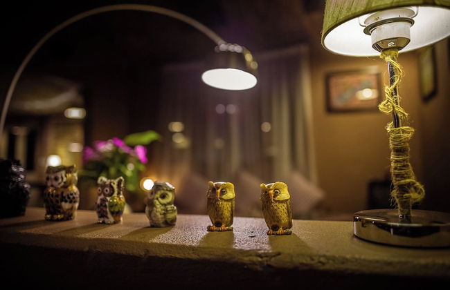 Mingtang Boutique Cottage - Foto 79