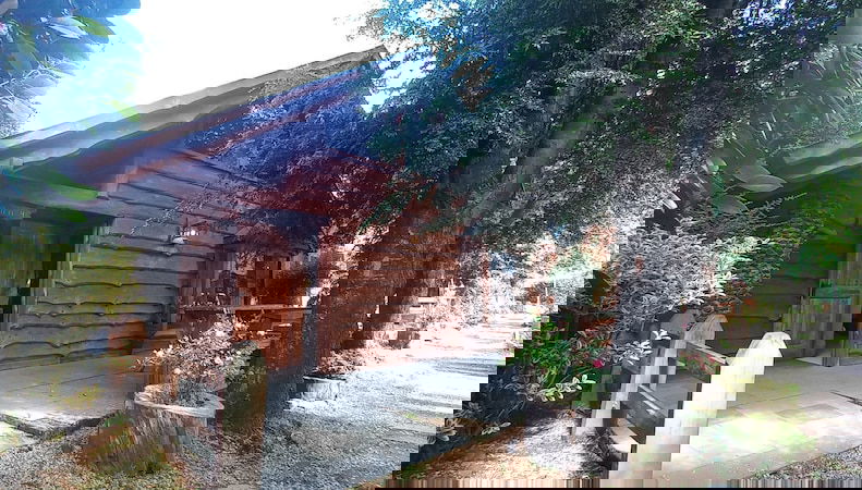 Primary image
