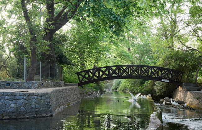 River Serenity Villa Vryses - Photo 27