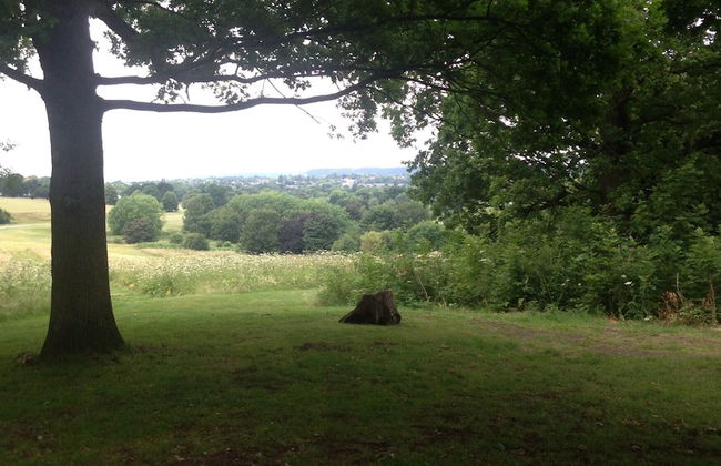 500 yr old Cottage With Historic Park at the Gate - Foto 9