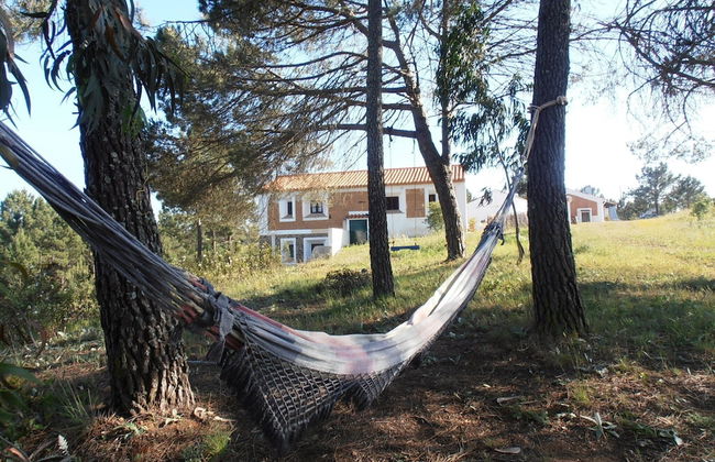 Quinta das Beldroegas - Casas de Campo - Foto 64