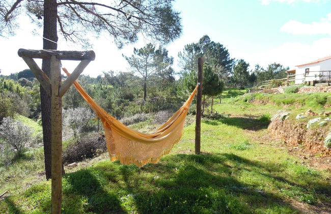 Quinta das Beldroegas - Casas de Campo - Foto 33