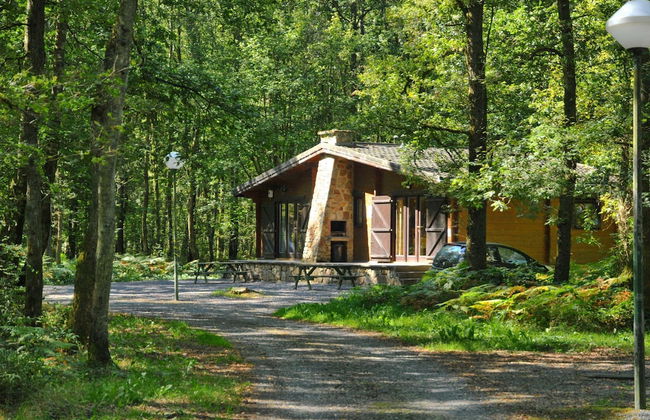 Chalet in Belgium Near Scenic Hiking Trails - Foto 13