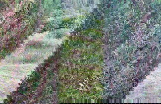 Foto 1 - Highland River Retreat