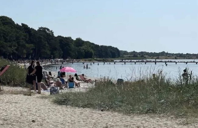 4 Star Holiday Home in Solvesborg - Foto 1