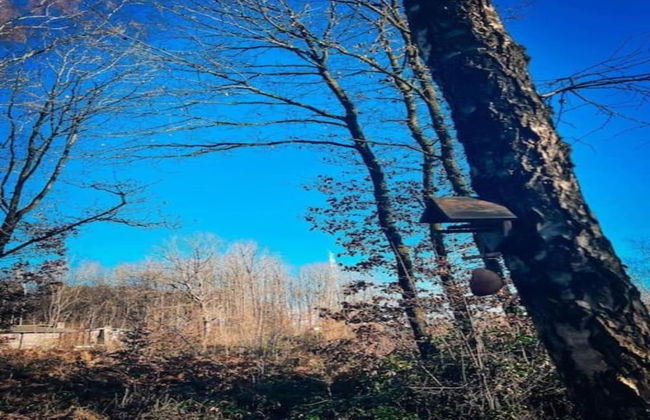Eco Holiday Home in Viroinval in Nature - Foto 38