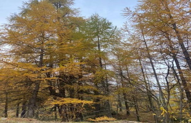 Enticing Holiday Home in Viroinval near Forest - Foto 47