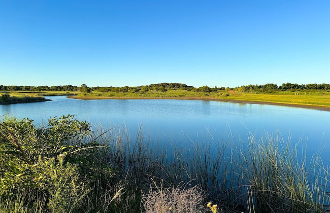 Panoramic by Carmelodays - Photo 38