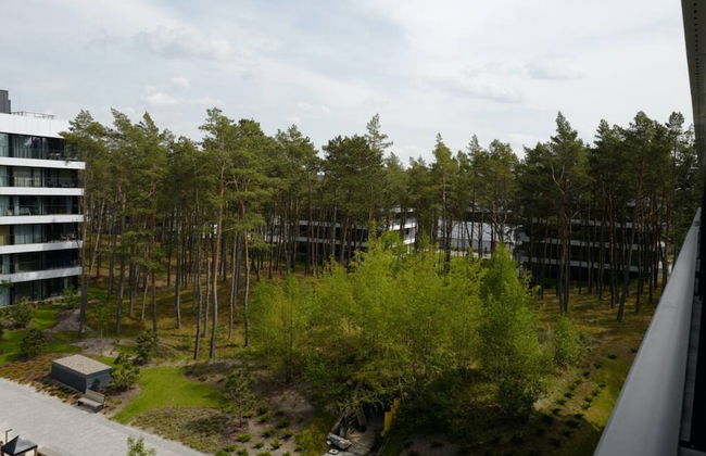 Art Forrest 33 K in Rogowo - Foto 25