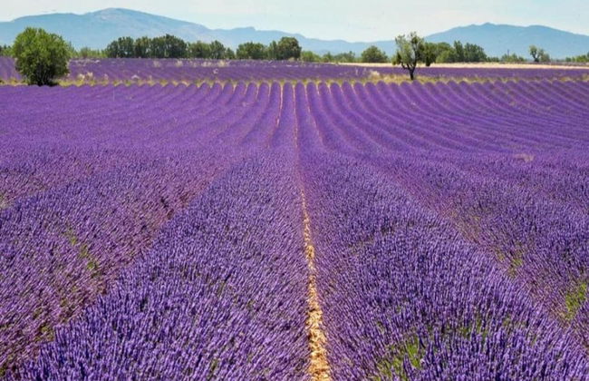 Studio in Greoux-les-bains Near Lakes - Foto 14