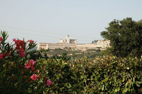 Foto 53 - Il Podere del Falco